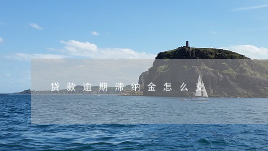 贷款逾期滞纳金怎么交 贷款逾期滞纳金怎么交