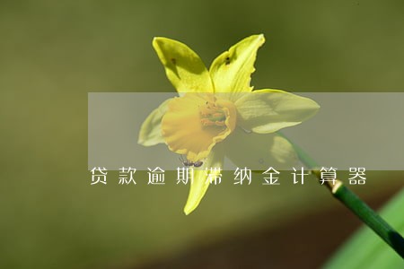 贷款逾期滞纳金计算器 贷款逾期滞纳金计算器