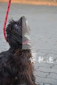 贷款逾期然后补上 贷款逾期然后补上