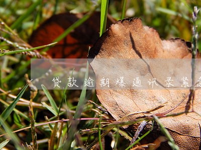 贷款逾期爆通讯录紧急联系人 贷款逾期爆通讯录紧急联系人