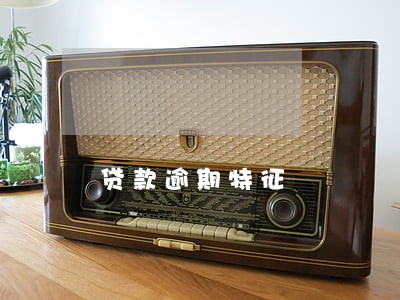 贷款逾期特征 贷款逾期特征