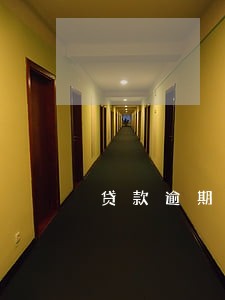 贷款逾期犯法不 贷款逾期犯法不