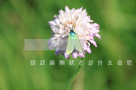 贷款逾期状态是什么意思 贷款逾期状态是什么意思