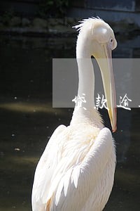 贷款逾期率与违约率 贷款逾期率与违约率