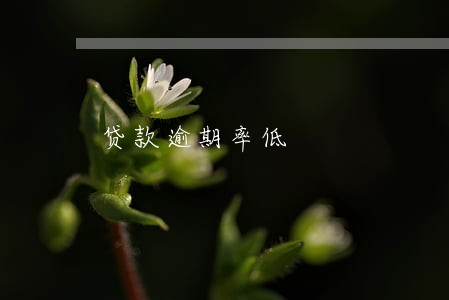 贷款逾期率低 贷款逾期率低