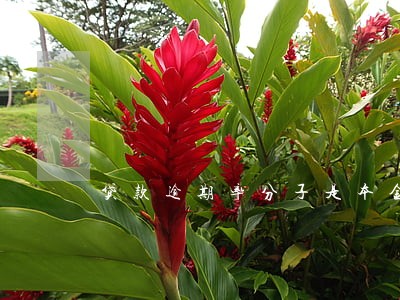 贷款逾期率分子是本金总额