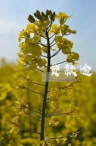 贷款逾期率怎么查账 贷款逾期率怎么查账
