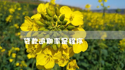 贷款逾期率是程序 贷款逾期率是程序