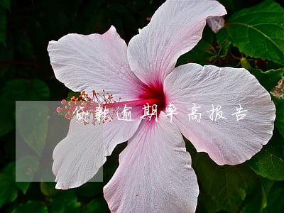 贷款逾期率高报告 贷款逾期率高报告