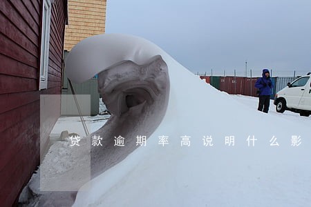 贷款逾期率高说明什么影响 贷款逾期率高说明什么影响