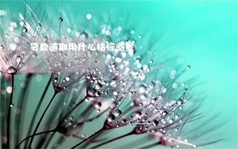 贷款逾期用什么指标衡量 贷款逾期用什么指标衡量