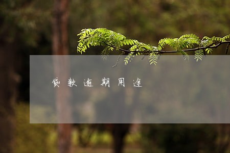 贷款逾期用途 贷款逾期用途