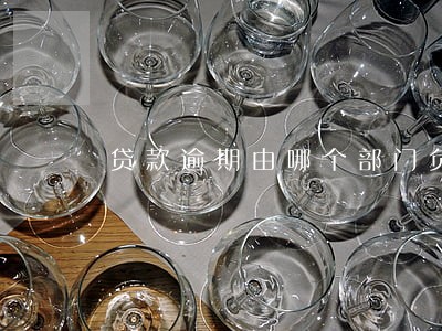贷款逾期由哪个部门负责 贷款逾期由哪个部门负责