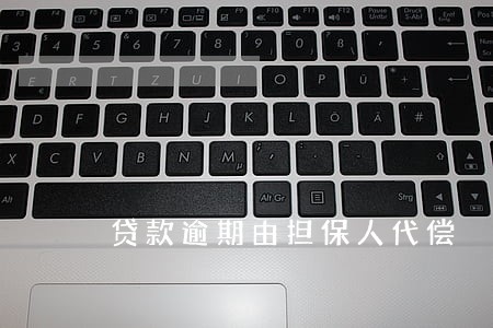 贷款逾期由担保人代偿 贷款逾期由担保人代偿