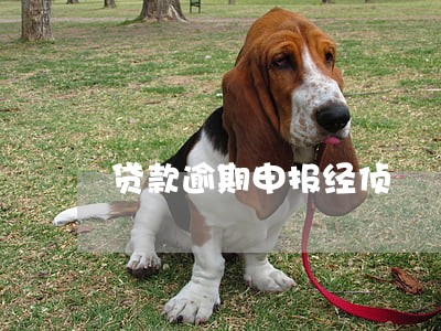 贷款逾期申报经侦 贷款逾期申报经侦