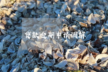 贷款逾期申请调解 贷款逾期申请调解