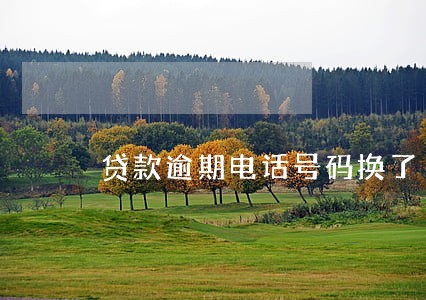 贷款逾期电话号码换了 贷款逾期电话号码换了