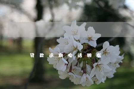 贷款逾期电话朋友 贷款逾期电话朋友
