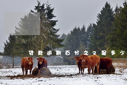 贷款逾期百分之2是多少 贷款逾期百分之2是多少