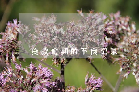 贷款逾期的不良记录 贷款逾期的不良记录