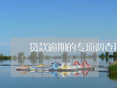 贷款逾期的专项调查报告 贷款逾期的专项调查报告