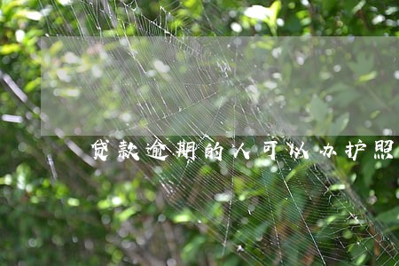 贷款逾期的人可以办护照吗 贷款逾期的人可以办护照吗