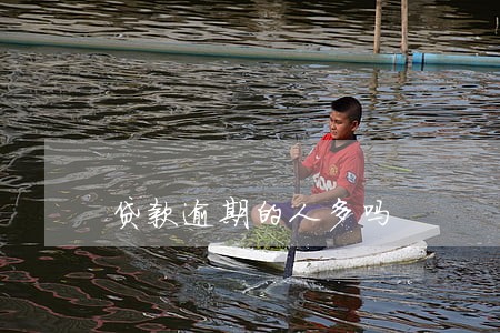 贷款逾期的人多吗 贷款逾期的人多吗