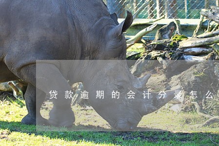 贷款逾期的会计分录怎么写 贷款逾期的会计分录怎么写