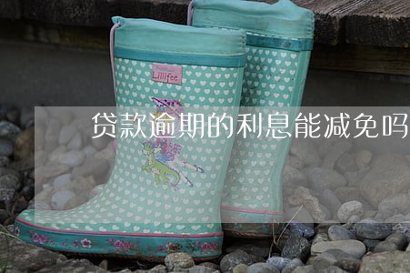 贷款逾期的利息能减免吗 贷款逾期的利息能减免吗
