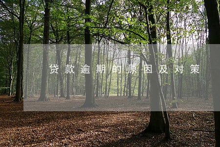 贷款逾期的原因及对策 贷款逾期的原因及对策