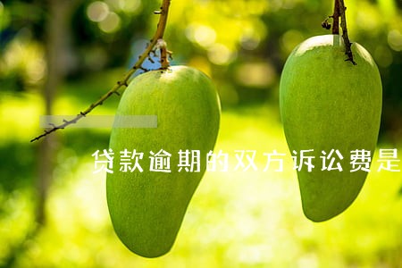 贷款逾期的双方诉讼费是多少 贷款逾期的双方诉讼费是多少