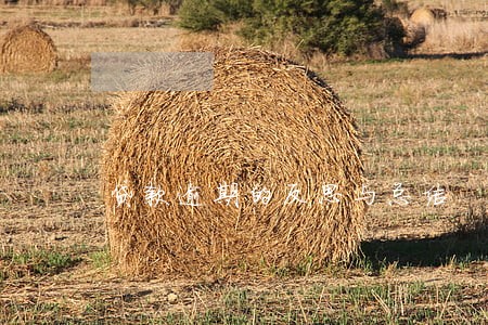 贷款逾期的反思与总结 贷款逾期的反思与总结