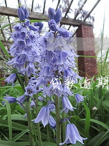 贷款逾期的后果到底有多严重 贷款逾期的后果到底有多严重