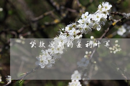 贷款逾期的复利计算 贷款逾期的复利计算