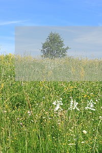 贷款逾期的多久能消 贷款逾期的多久能消