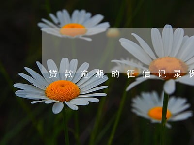 贷款逾期的征信记录保存几年 贷款逾期的征信记录保存几年