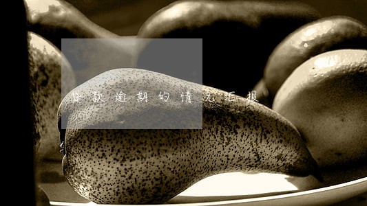 贷款逾期的情况汇报