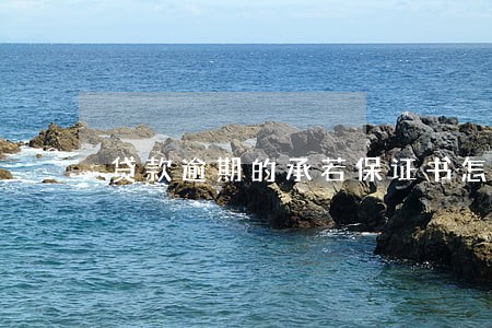 贷款逾期的承若保证书怎么写 贷款逾期的承若保证书怎么写