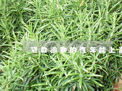 贷款逾期的汽车能上高速吗 贷款逾期的汽车能上高速吗
