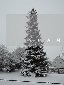 贷款逾期的程度 贷款逾期的程度