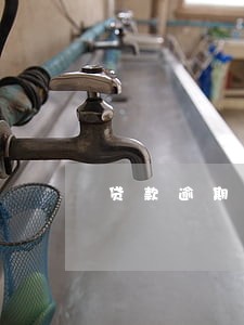 贷款逾期的类别 贷款逾期的类别