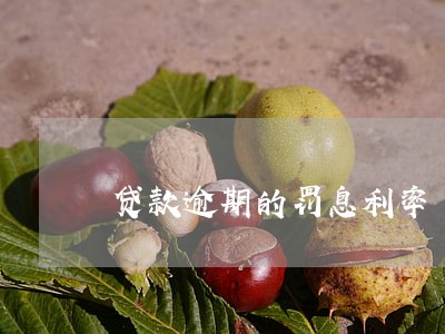 贷款逾期的罚息利率 贷款逾期的罚息利率