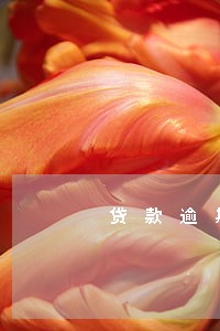 贷款逾期的能贷款么 贷款逾期的能贷款么