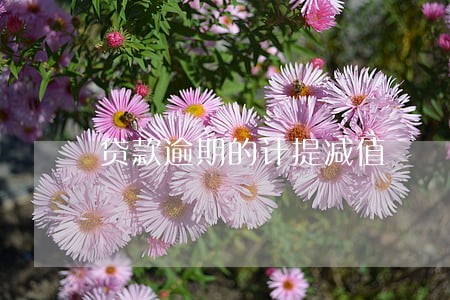 贷款逾期的计提减值 贷款逾期的计提减值