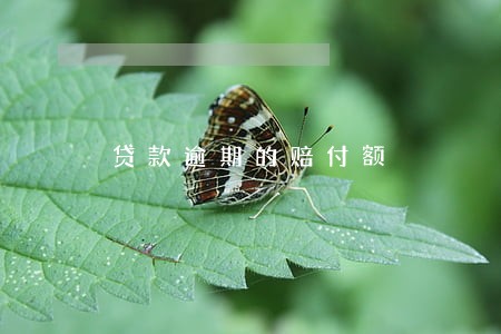 贷款逾期的赔付额 贷款逾期的赔付额