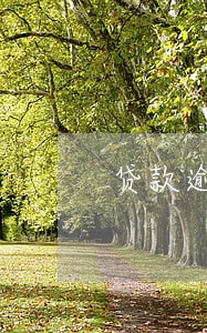 贷款逾期的起诉费和执行费 贷款逾期的起诉费和执行费