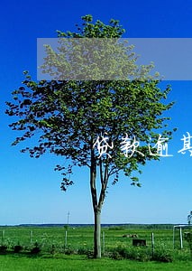 贷款逾期的软件 贷款逾期的软件