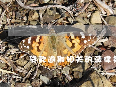 贷款逾期相关的法律条文 贷款逾期相关的法律条文