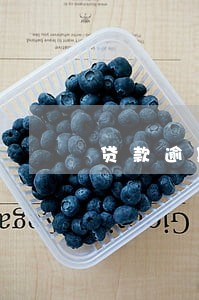 贷款逾期相声 贷款逾期相声