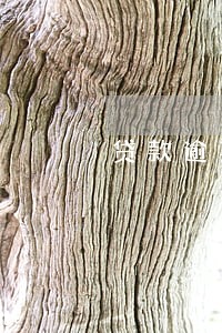 贷款逾期短信真实信息 贷款逾期短信真实信息